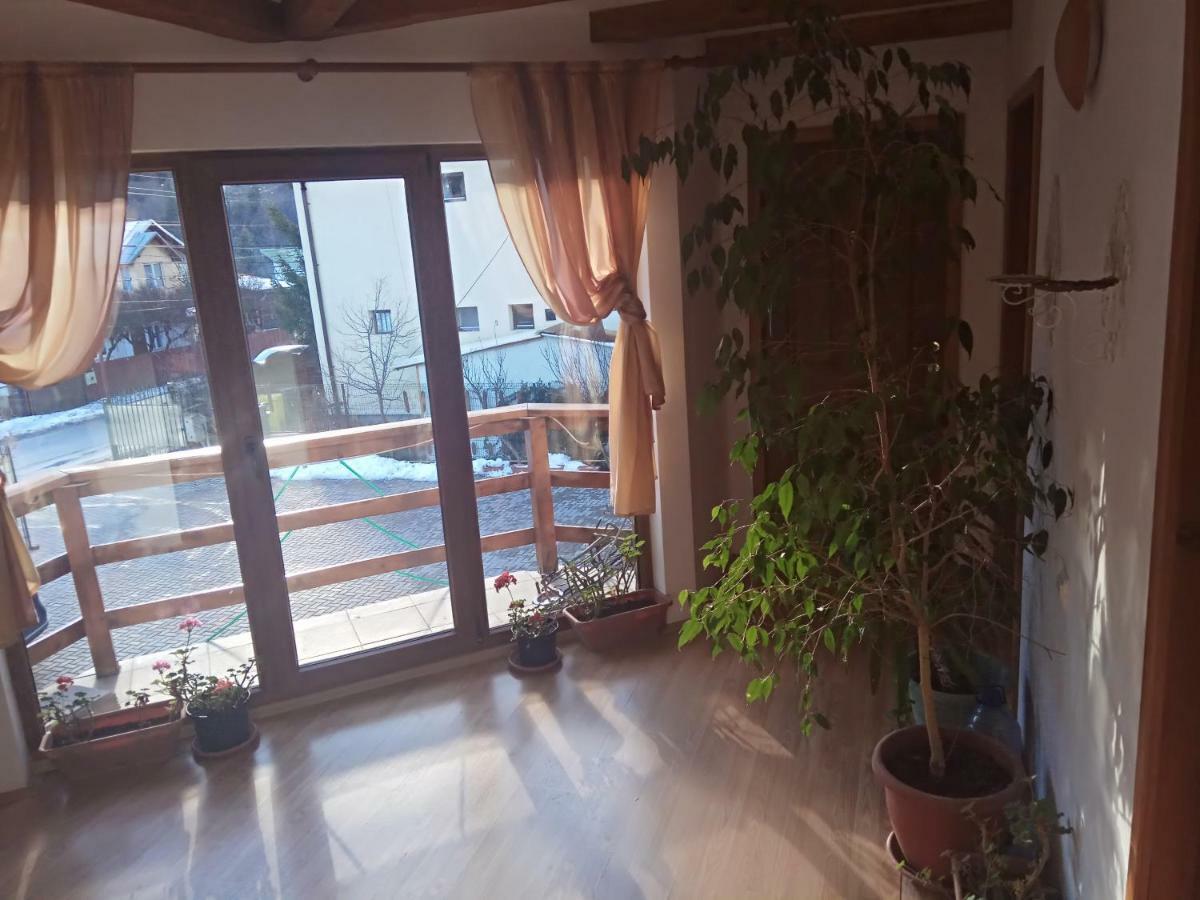 Hotel Casa Alexandru Azuga Esterno foto