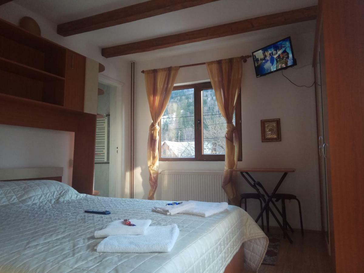 Hotel Casa Alexandru Azuga Esterno foto