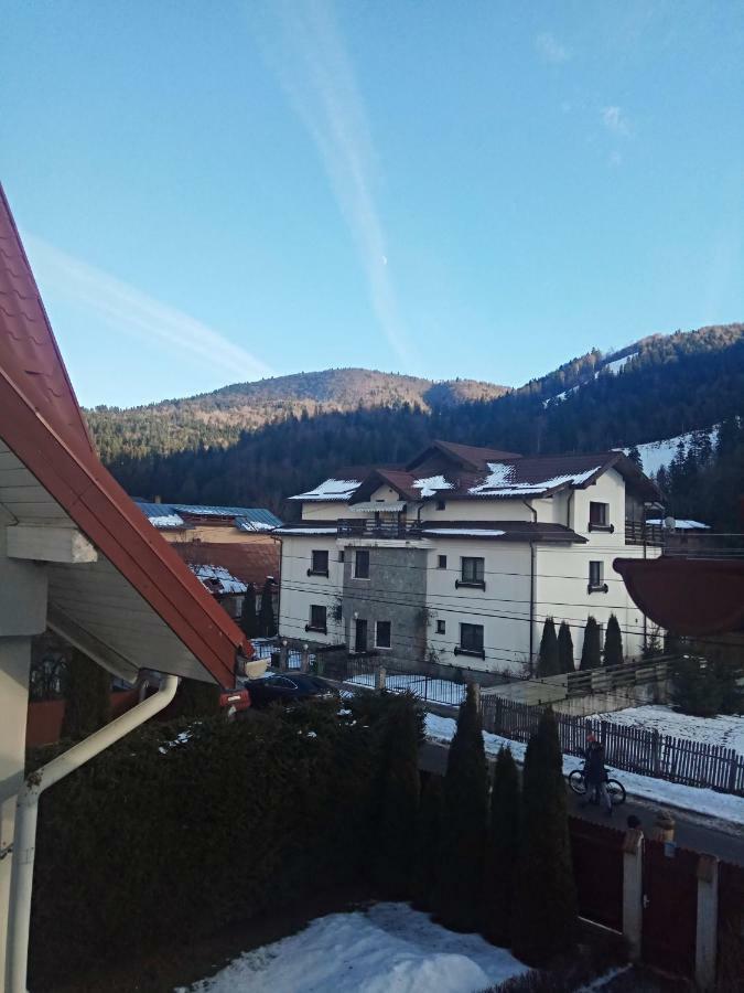 Hotel Casa Alexandru Azuga Esterno foto