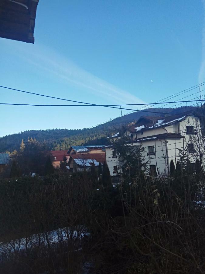 Hotel Casa Alexandru Azuga Esterno foto